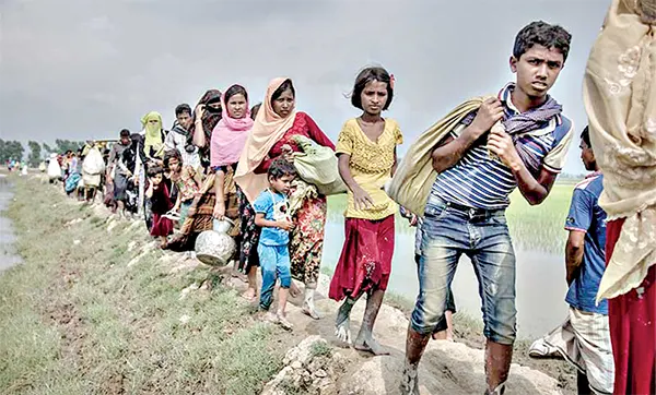 থলের বিড়াল ভেতরে নাকি বাইরে