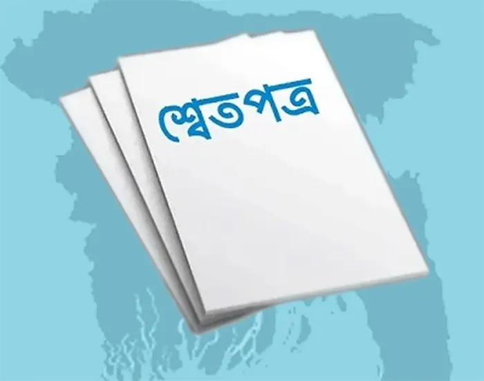 অর্থনীতির শ্বেতপত্র  কাজ করবে কীভাবে?